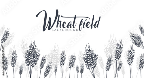 Bakery background with wheats. Linear graphic. Bread banner collection. Bread house. Vector illustration