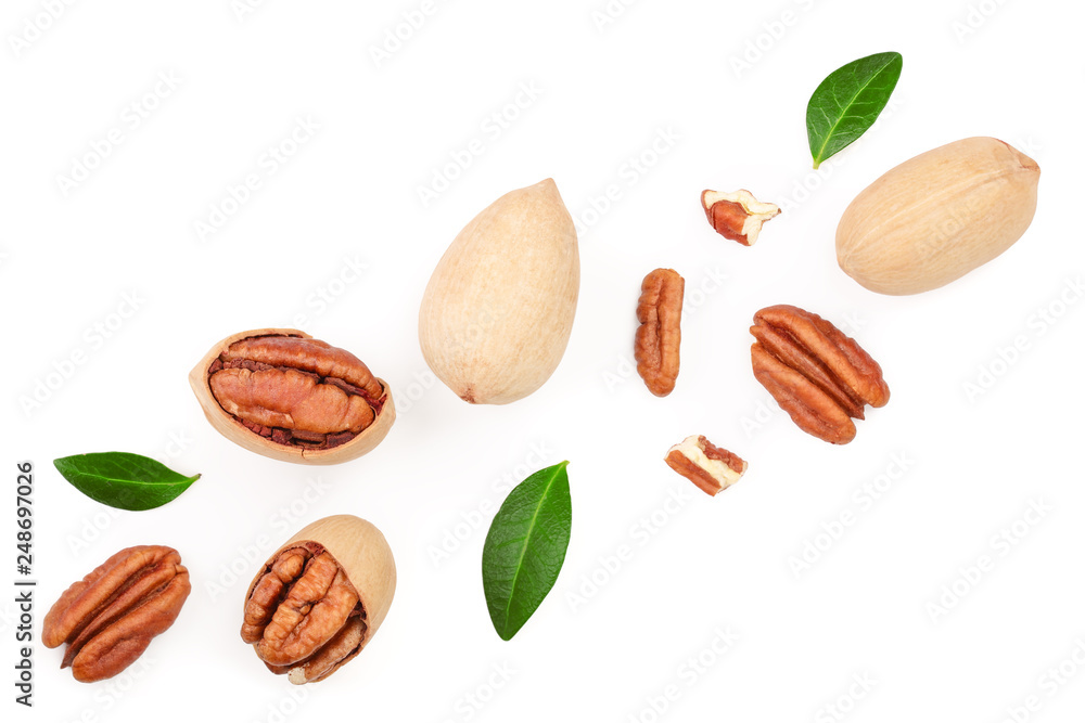 pecan nut decorated with green leaves isolated on white background. Top view. Flat lay pecan nut decorated with green leaves isolated on white background. Top view. Flat lay