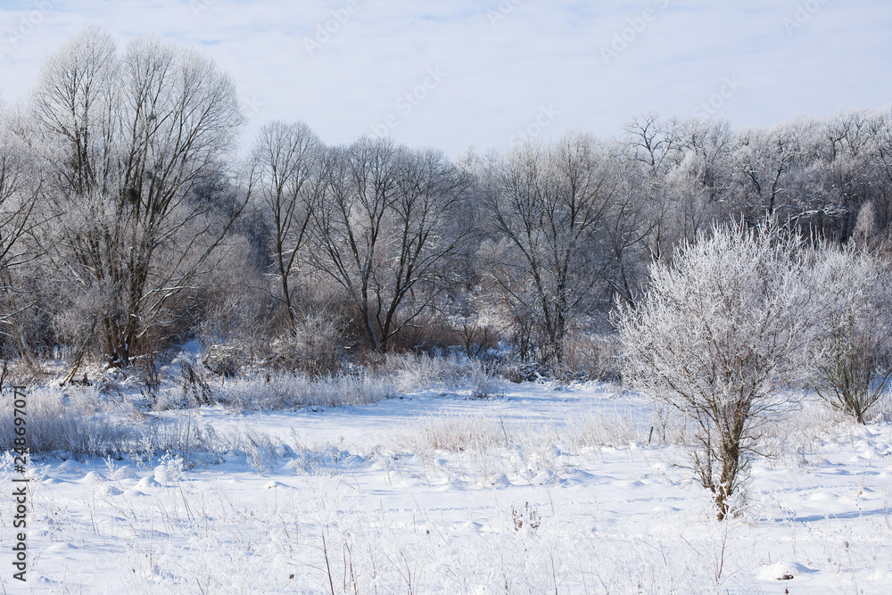 Beautiful winter landscape in clear weather. Beautiful winter landscape in clear weather.
