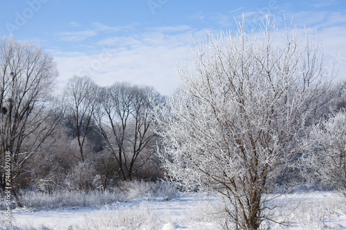 Wallpaper Mural Beautiful winter landscape in clear weather. Torontodigital.ca