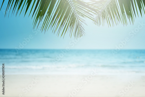 Tropical beach background with palm tree, Summer.