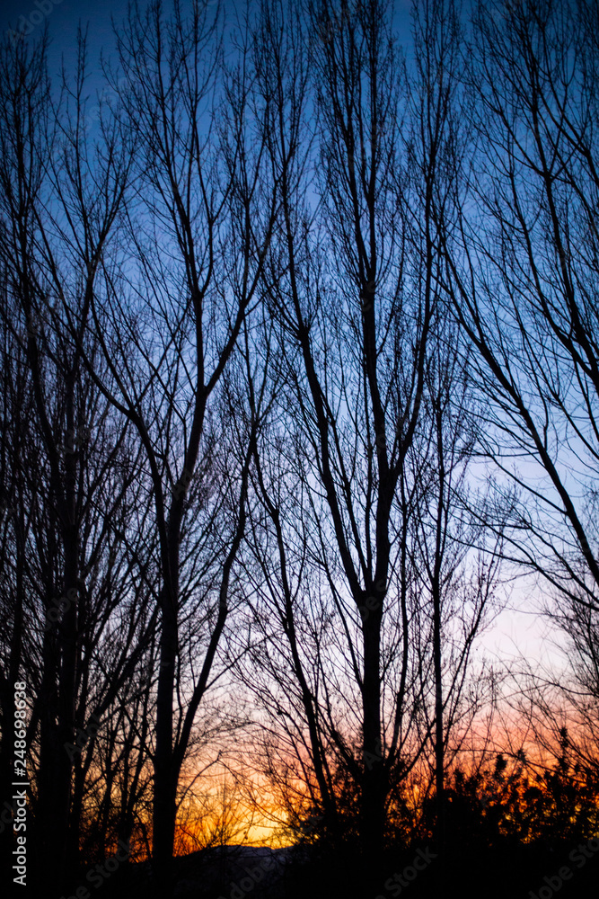 Naklejka premium Vistas del parque al atardecer