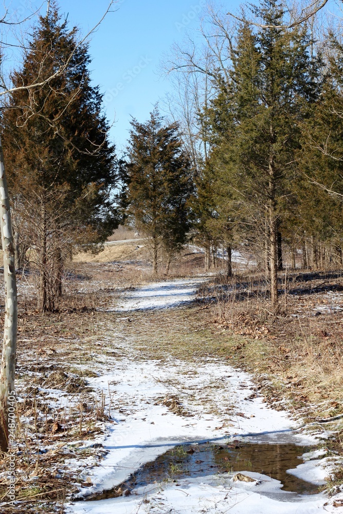 Obraz premium The snowy frozen path in the countryside on a sunny day.