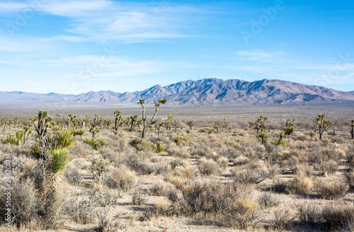 Mojave Desert in California. photo