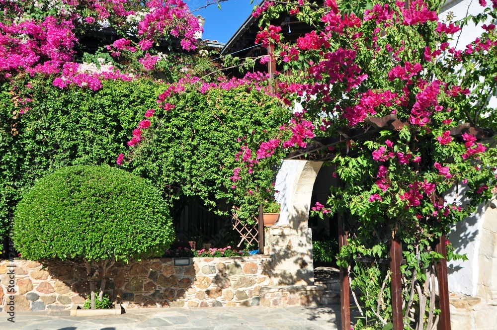 Naklejka premium Fowering the garden