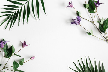 Flowers composition. Purple flowers on pastel gray background. Spring, summer concept. Flat lay, top view, copy space