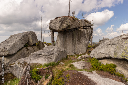 Durch Sturm und den Borkenkaefer geschädigte Baeume auf dem Bergkamm des Boehmerwaldes an der Grenze von Deutschland,Oesterreich und Tschechien bei blauen Himmel photo