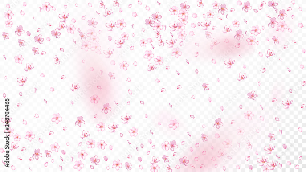 Nice Sakura Blossom Isolated Vector. Magic Showering 3d Petals Wedding Paper. Japanese Style Flowers Illustration. Valentine, Mother's Day Watercolor Nice Sakura Blossom Isolated on White