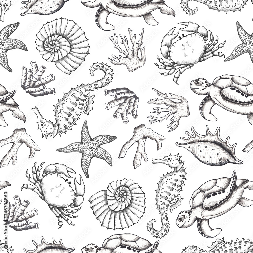 Ocean sea watercolor and graphic handpainted patterns with hand drawn  corals and underwater animals. Black and white doodle monochrome natural  elements, living coral elements Stock Photo | Adobe Stock