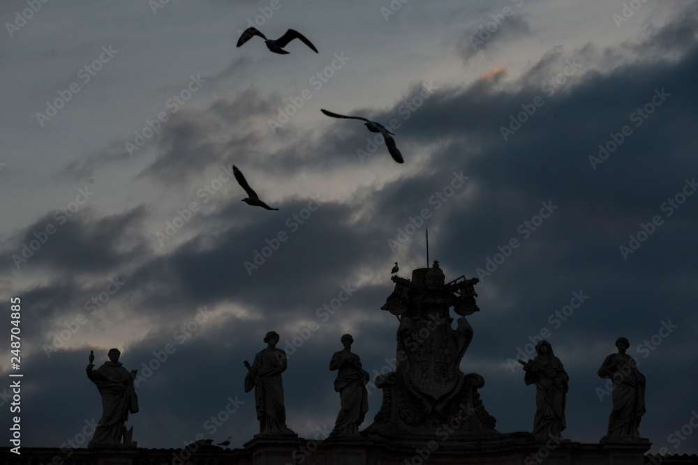 Obraz premium Vatican City, December 7, 2018: Seagulls flying over Saint Peter's Square