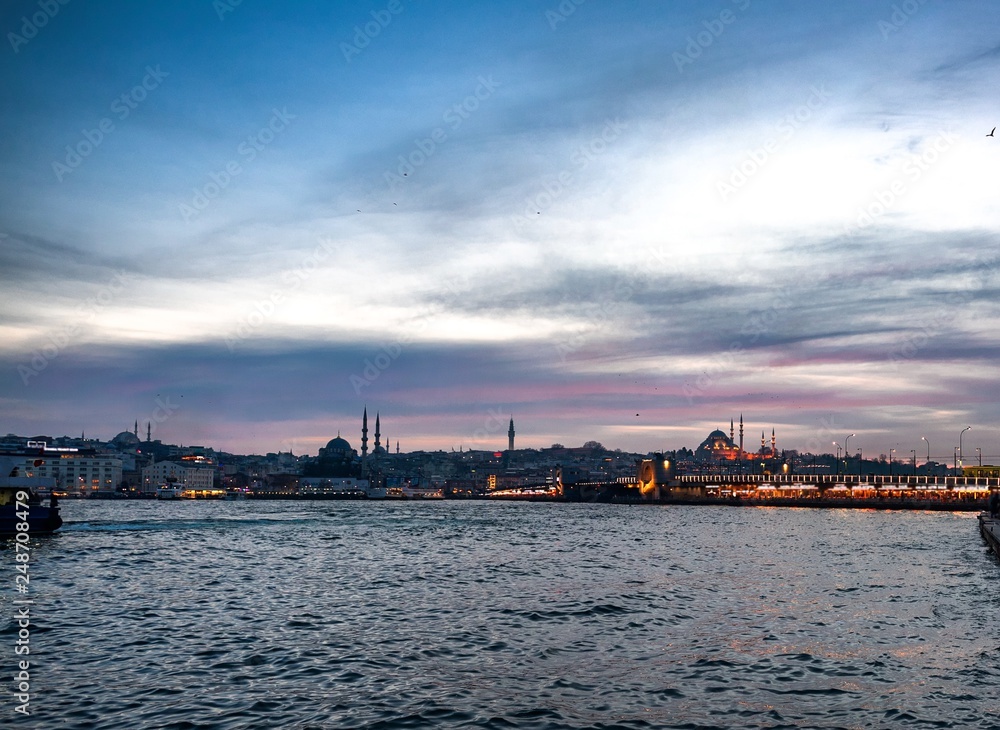 Istanbul Bosphorus and City View