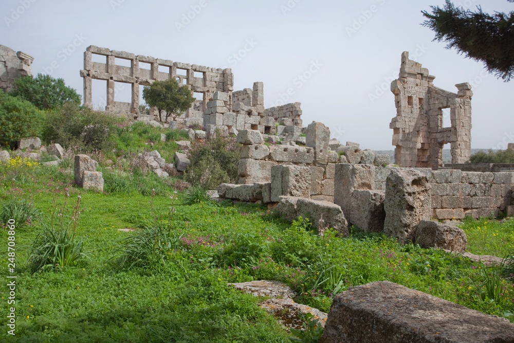 Ruins of the monastery of St. Simeon near Aleppo. Syria