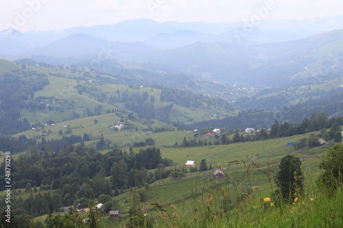 Beautiful mountain landscape in summer