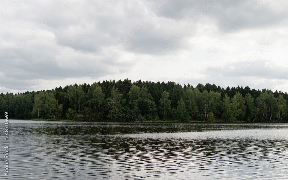 Wild lake with forest line