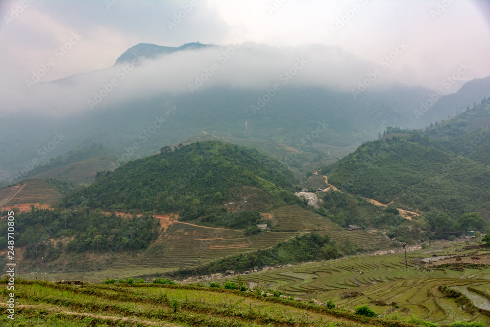 Sapa