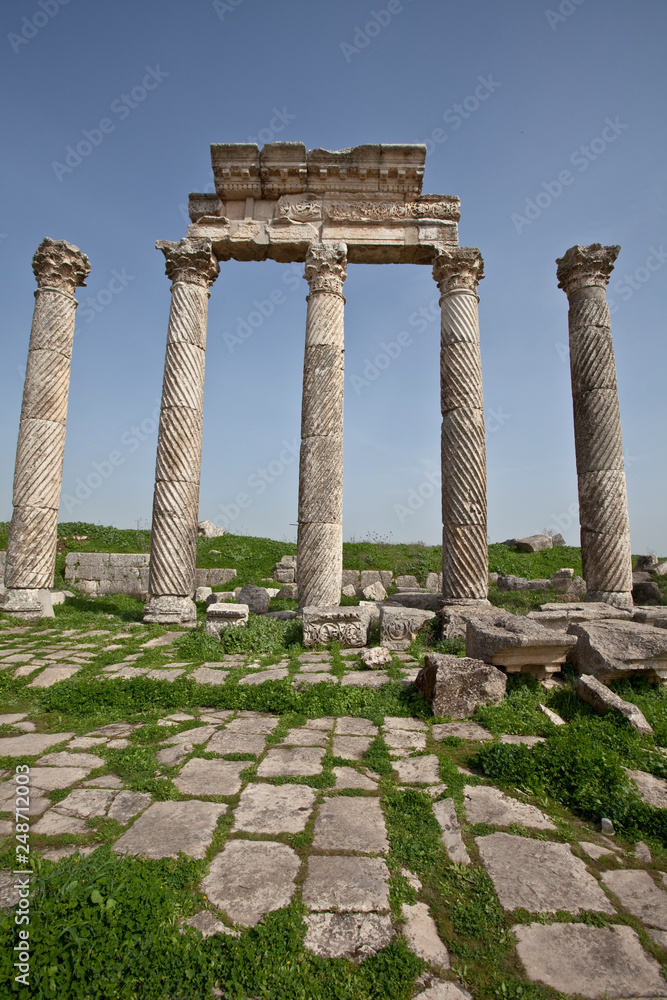 Ruins of Apamea (Afamia). Syria