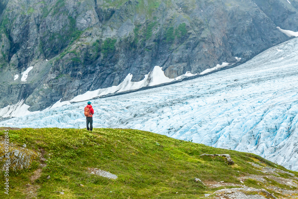 A man in a red jacket is gazing out over Exit Glacier in Alaska, USA. Man is standing on green grass covered hill overlooking glacier from the Harding Icefield Trail.