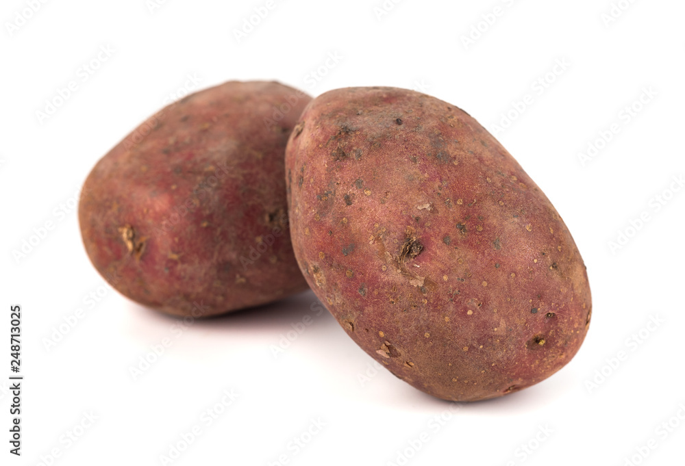 red sweet large potato close up isolated on white background red sweet large potato close up isolated on white background