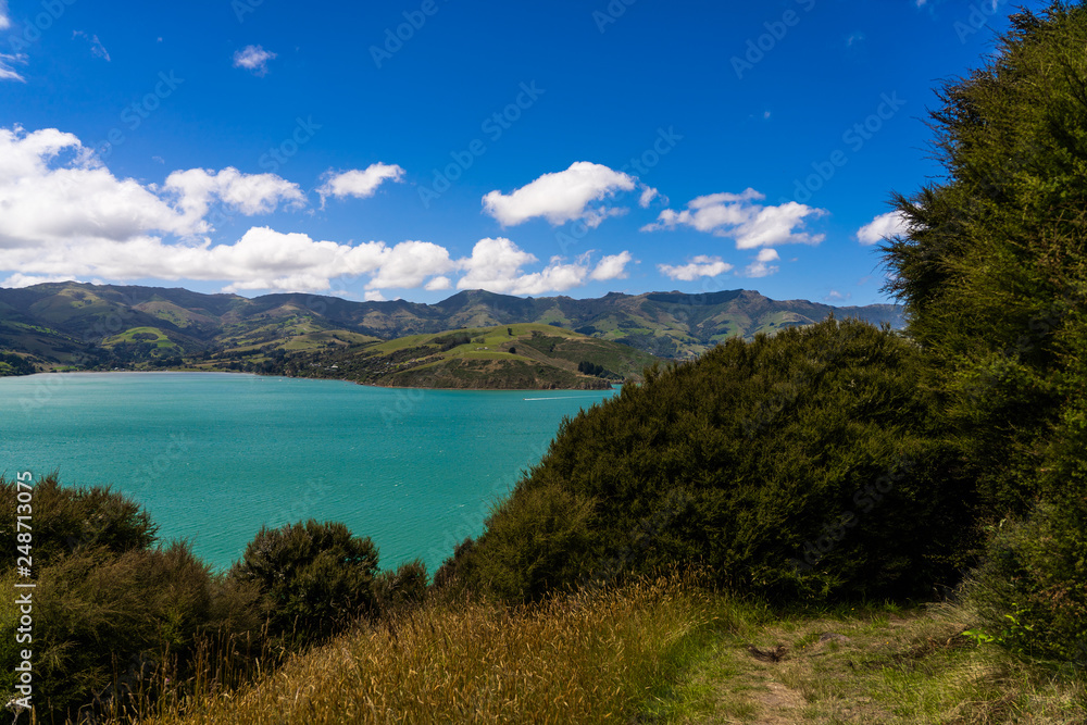 view from the onawe track in New Zealand, amazing ocean bay in akaroa New Zealand, onawe walkway with beautiful nature and blue water, great New Zealand nature photography, nature background