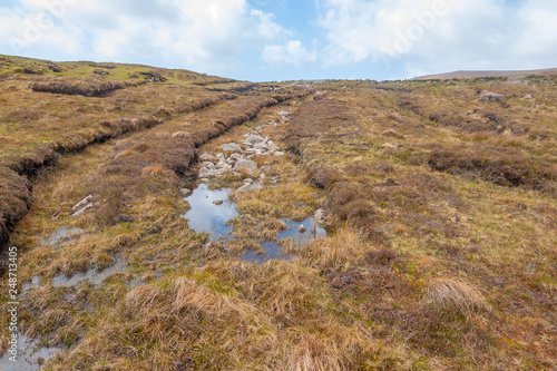 wetland scenery photo