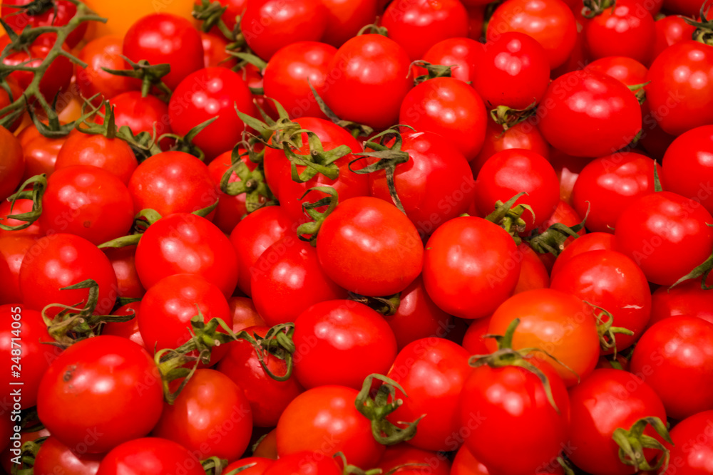 Background or texture from a lot of bright tomatoes from a kitchen garden. Vitamins and vegetables. Healthy lifestyle. Red.
