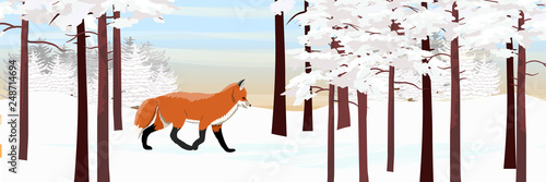 Red fox goes through the snow-covered pine forest. Animals of Russia, Europe, USA, Canada and Scandinavia. Realistic Vector Landscape