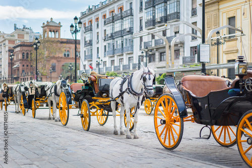 horse and carriage