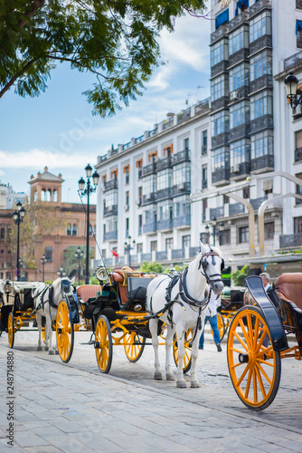 horse and carriage