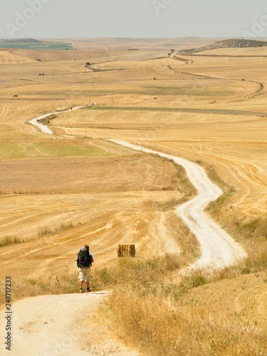 Bilde på lerret Cammino de Santiago de Compostela. Back view