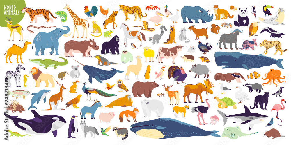 Big vector set of different world wild animals, mammals, fish, reptiles and  birds. Rare animals. Funny flat characters, good for banners, prints,  patterns, infographics, children book illustration etc Stock Vector | Adobe