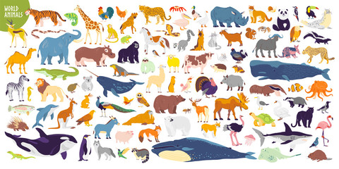 Foto auf Acrylglas Zoo Big vector set of different world wild animals, mammals, fish, reptiles and birds. Rare animals. Funny flat characters, good for banners, prints, patterns, infographics, children book illustration etc  © artflare