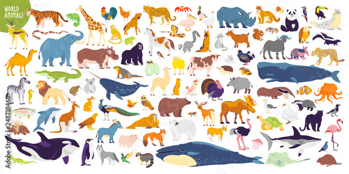 Big vector set of different world wild animals, mammals, fish, reptiles and birds. Rare animals. Funny flat characters, good for banners, prints, patterns, infographics, children book illustration etc
