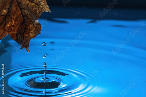 Amazing beautiful blue background. Drops making circles on water surface.