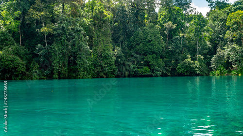 turquoise crystal freshwater on the top and saltwater in the bottom at Labuhan Cermin, Berau, Indonesia. Beautiful view off lake surrounded by green vegetation © hilmawan nurhatmadi