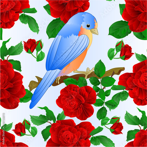 Seamless texture  Small songbirdon Bluebird  thrush and red rose spring background vintage vector illustration editable hand draw photo