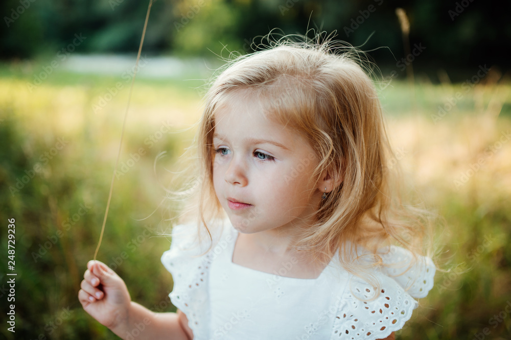 A portrait of small girl in sunny summer nature. A portrait of small girl in sunny summer nature.
