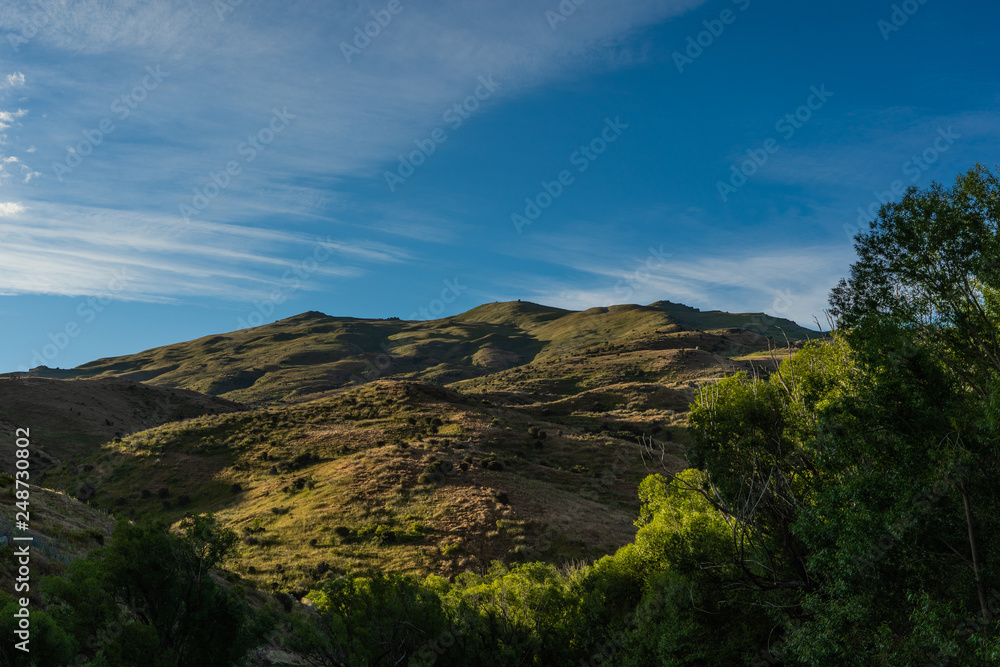 beautiful New Zealand alps during sunset on a summer day, amazing nature of new Zealand's east coast alps in summer, New Zealand landscape photography, great landscape image