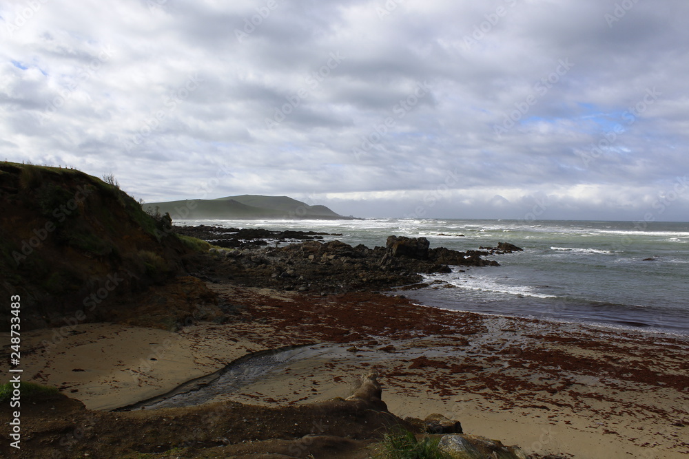 Severe sky on the beach in the Southern Scenic Route, New Zealand, Sout Island