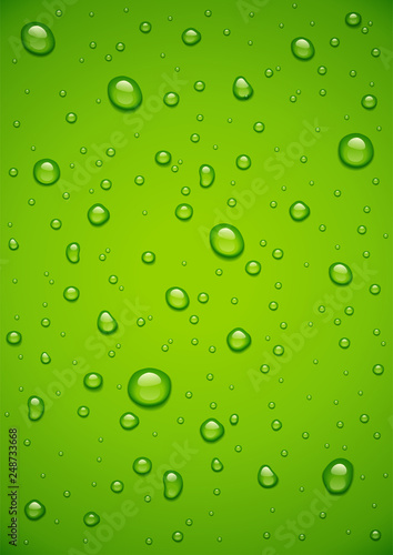 Water drop at green background.