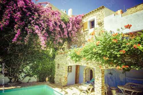 beautiful large house with pool in the garden, patio full of flowers © carles