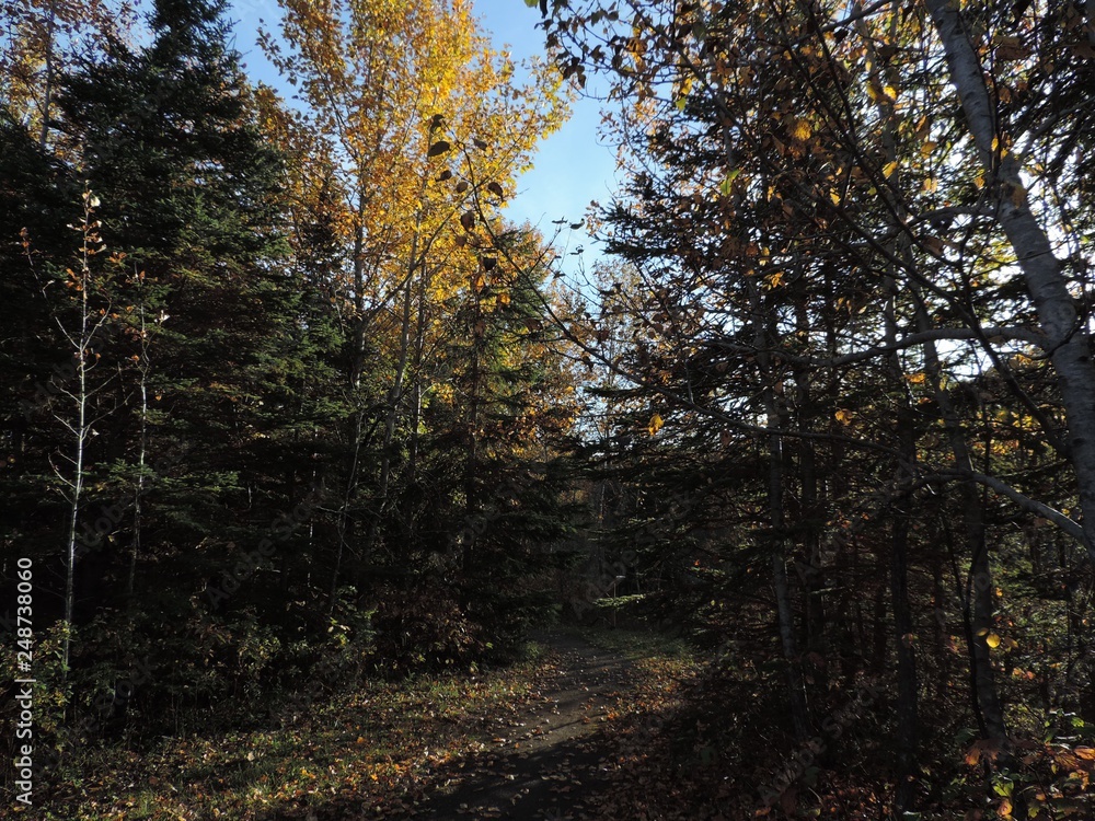 Fototapeta premium souvenir matane 4