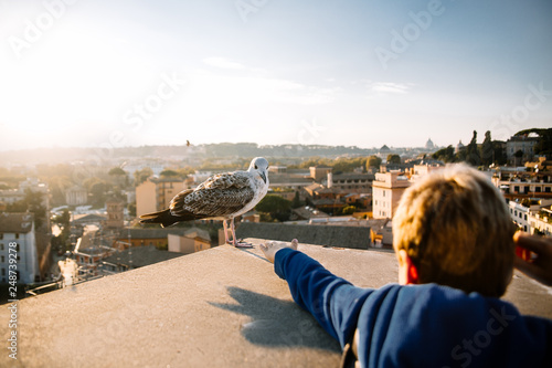 Fototapeta Naklejka Na Ścianę i Meble -  Little boy reaches for the Seagull. Rome. Italy
