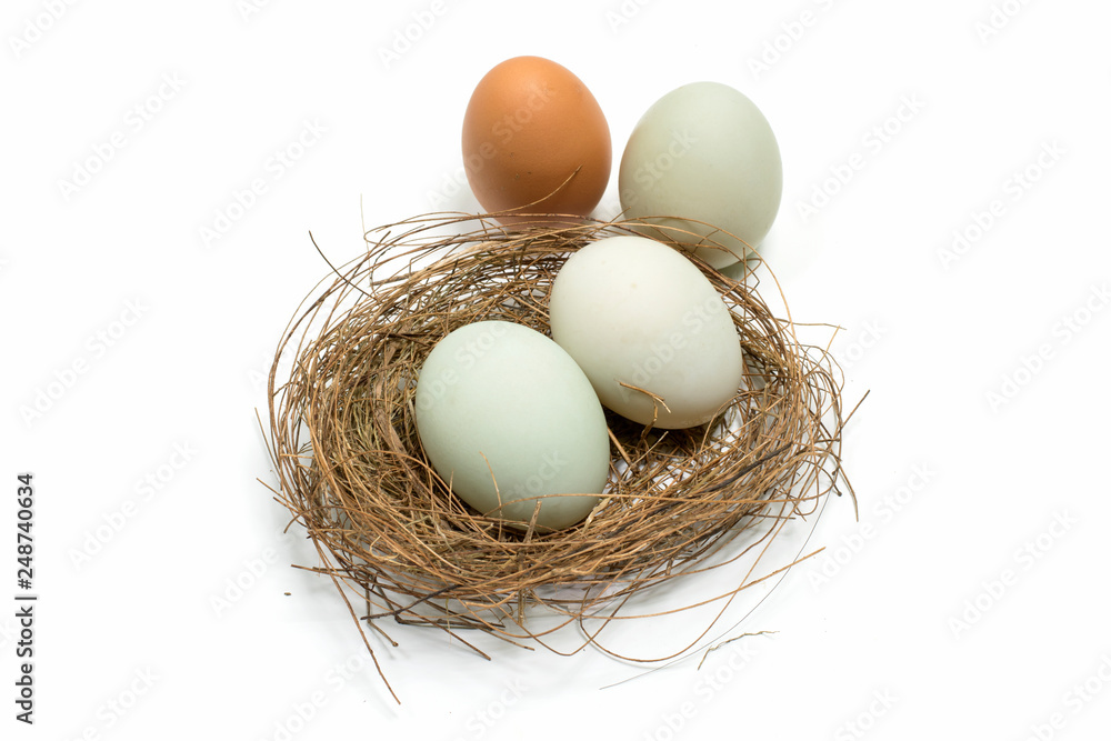 eggs, isolated, background, white eggs, isolated, background, white