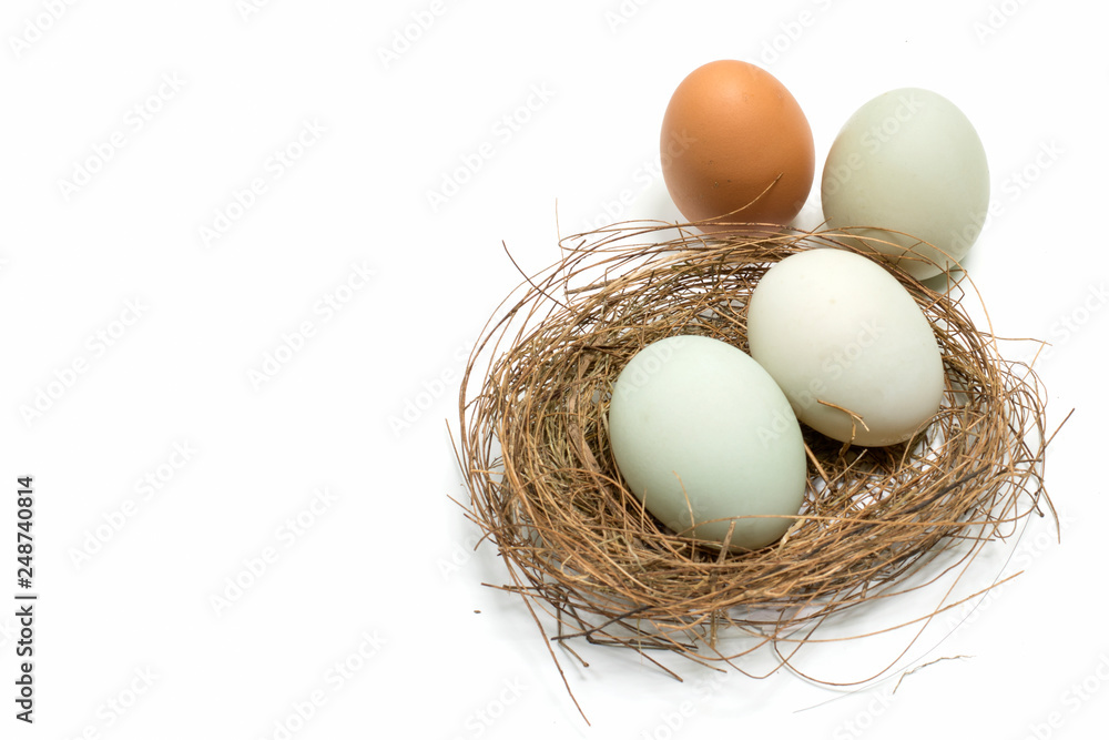 eggs, isolated, background, white eggs, isolated, background, white