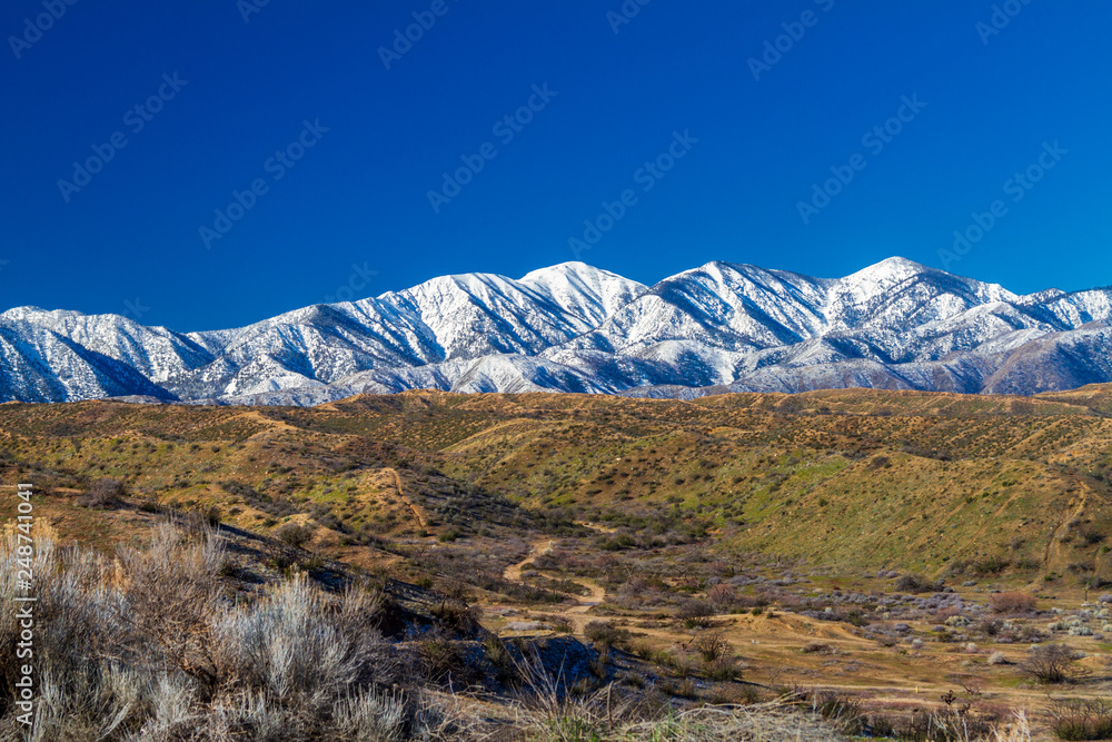 Snow on the northern side of the San Gabriel Mountains in the Angeles National Forset in Southern California