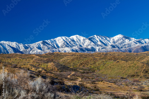 Snow on the northern side of the San Gabriel Mountains in the Angeles National Forset in Southern California