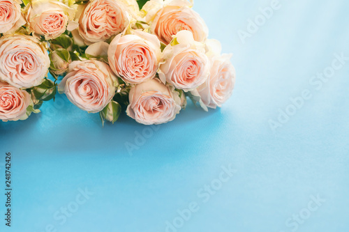 Vintage of pink roses on blue background. Greeting card for Womens day or Mothers day.