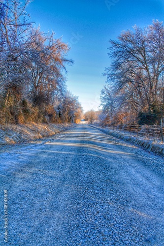 Old gravel road in the middle of nowhere. Old Logging Road.