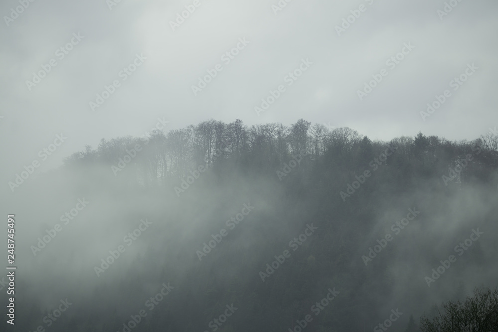 Schwarzwald im nebel Schwarzwald im nebel