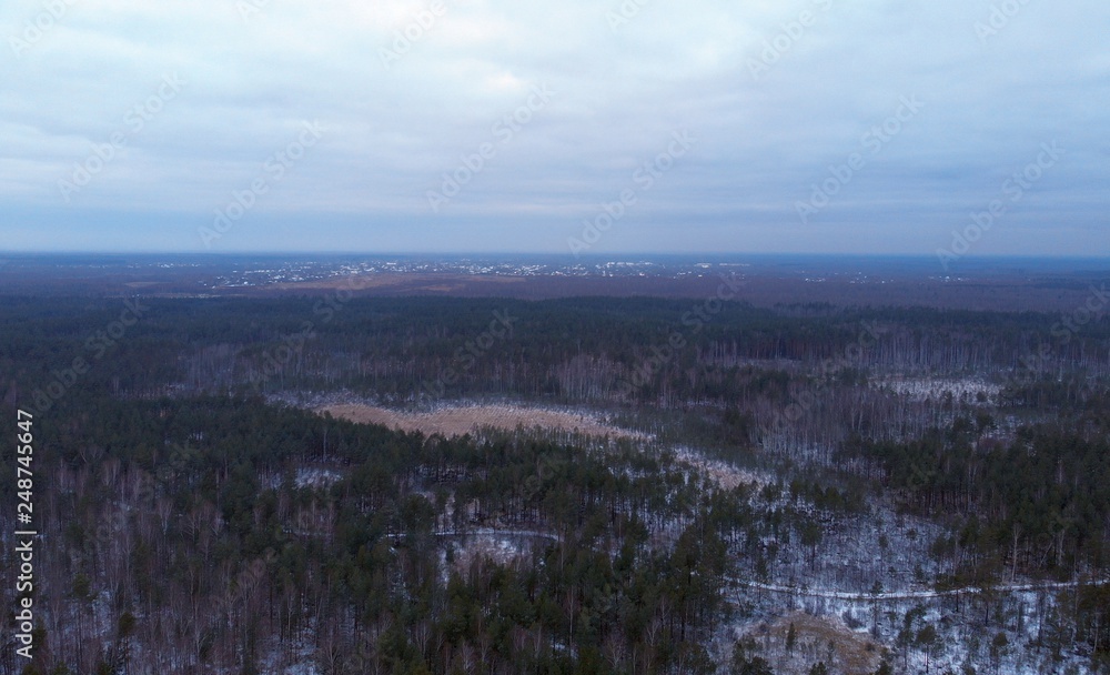 Air forest foto november